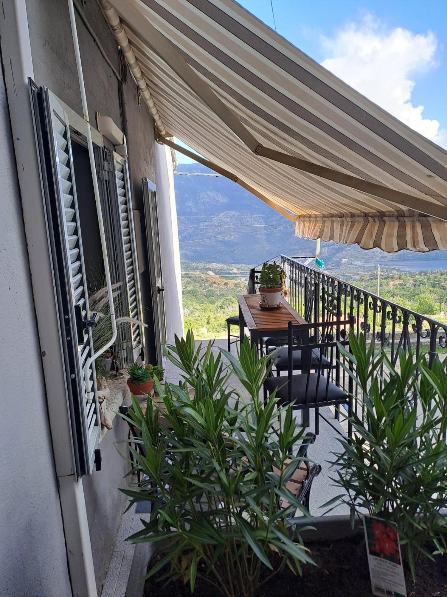Location En Corse Au Pied Du Monte Cintu Apartman Lozzi Kültér fotó
